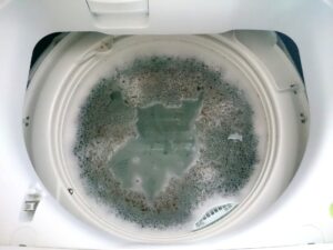 洗濯機　掃除