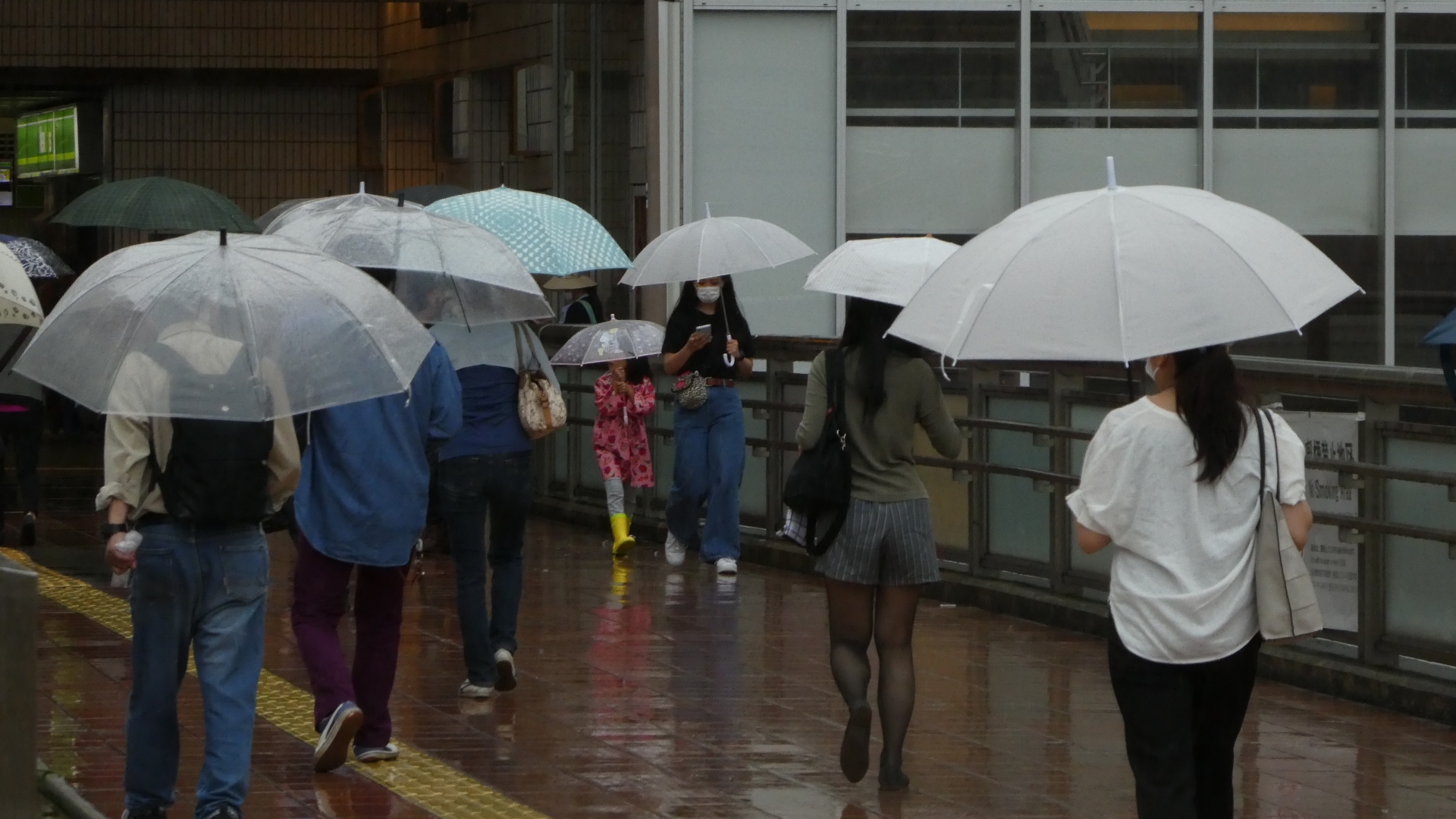 梅雨