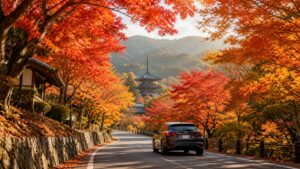 福岡の紅葉スポットを巡る秋のドライブをイメージした風景