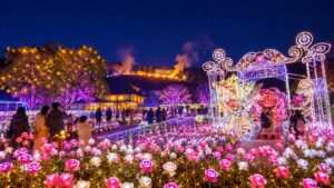 茨城県フラワーパークの冬のイルミネーションと薔薇の花畑を楽しむ人々